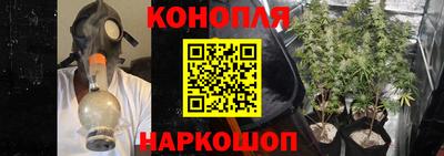 ГАЛЛЮЦИНОГЕННЫЕ ГРИБЫ Аргун