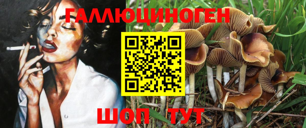 Галлюциногенные грибы мухоморы Богданович