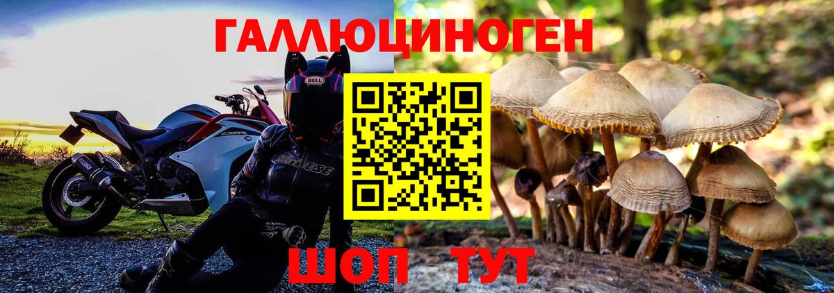 Псилоцибиновые грибы мухоморы  Псилоцибиновые грибы Psilocybine cubensis  Вход с VPN  Богданович 