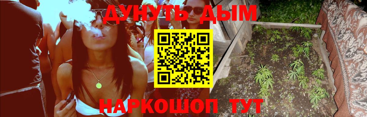 Шишки марихуана THC 21%  Вход с VPN  Богданович  Конопля MAZAR  Каннабис тримм 